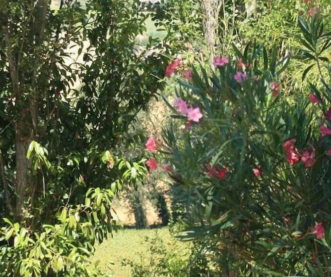 Grande Villa Storica Per Vacanze Con Giardino Privato E Piscina