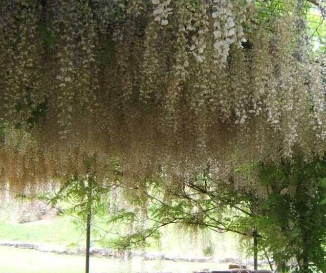 Grande Villa Storica Per Vacanze Con Giardino Privato E Piscina