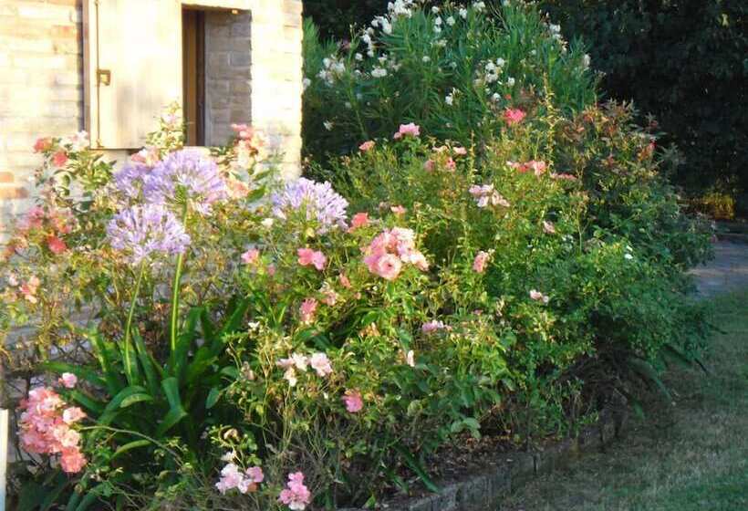 Grande Villa Storica Per Vacanze Con Giardino Privato E Piscina