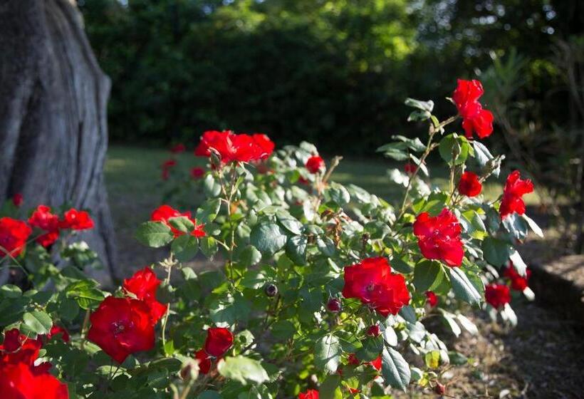 Grande Villa Storica Per Vacanze Con Giardino Privato E Piscina