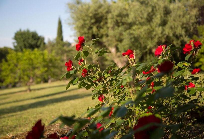 Grande Villa Storica Per Vacanze Con Giardino Privato E Piscina