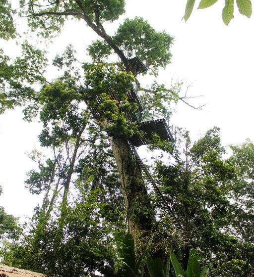 پانسیون Boutique The Green Jungle House