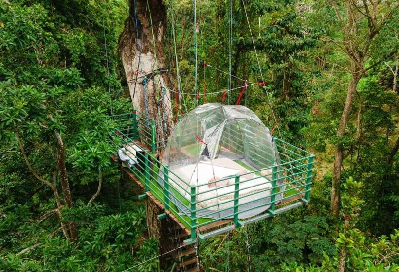 پانسیون Boutique The Green Jungle House