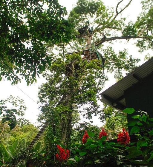 پانسیون Boutique The Green Jungle House