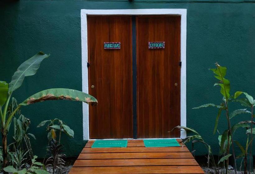 پانسیون Boutique The Green Jungle House