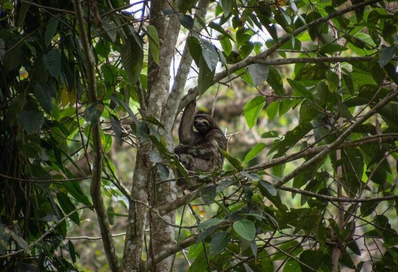 پانسیون Boutique The Green Jungle House