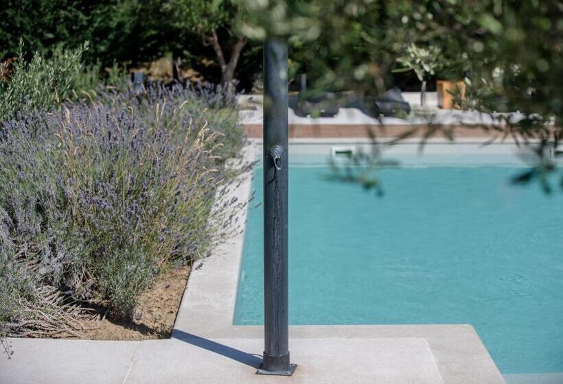 בית מלון כפרי Luxury Suites Bellevue