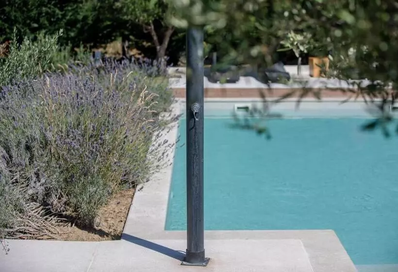 Hotelli Luxury Suites Bellevue