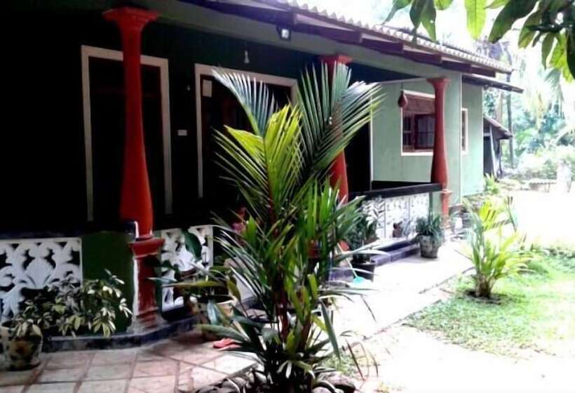 Pensjonat Green Bamboo House