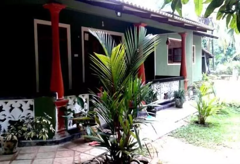 پانسیون Green Bamboo House