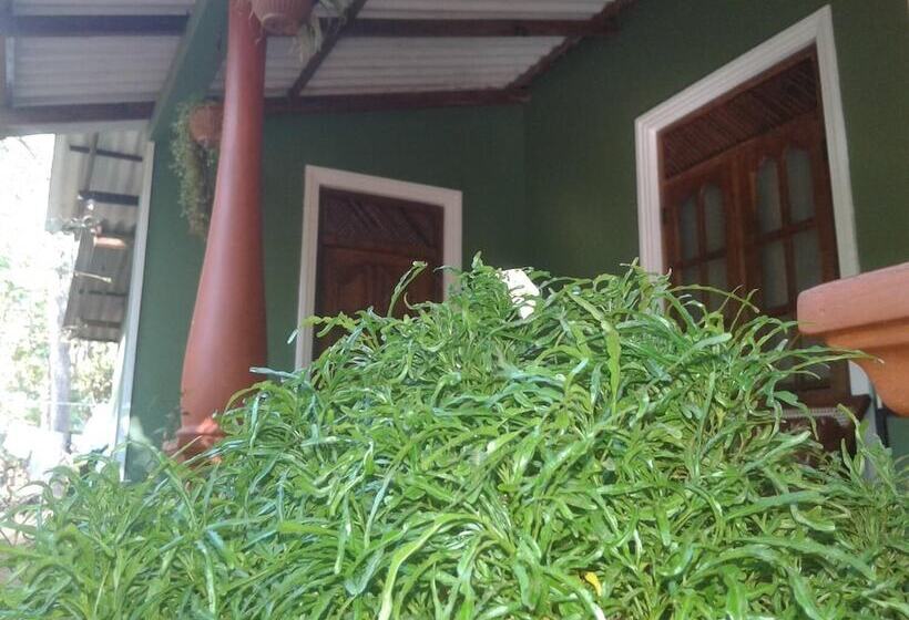 Pensjonat Green Bamboo House