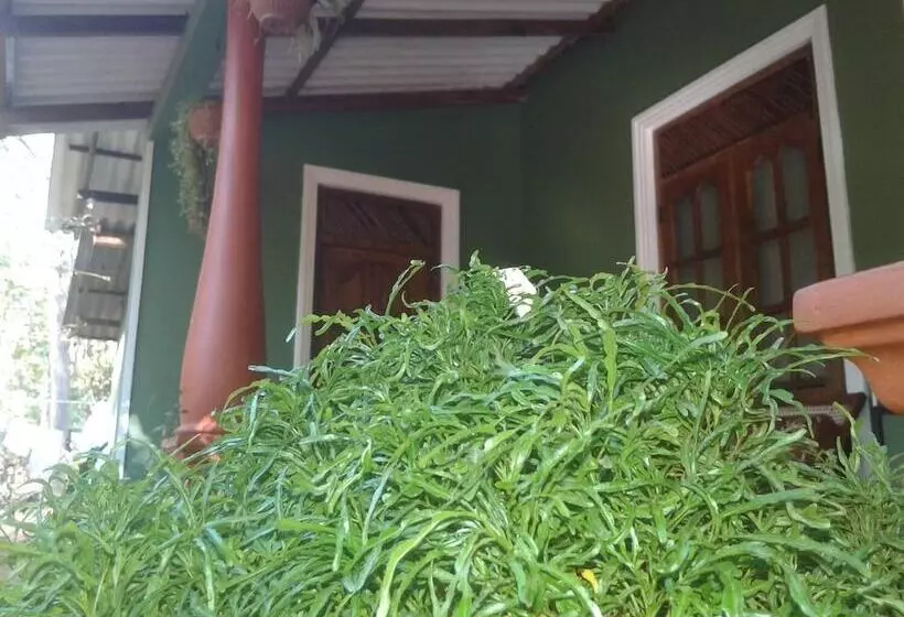 پانسیون Green Bamboo House