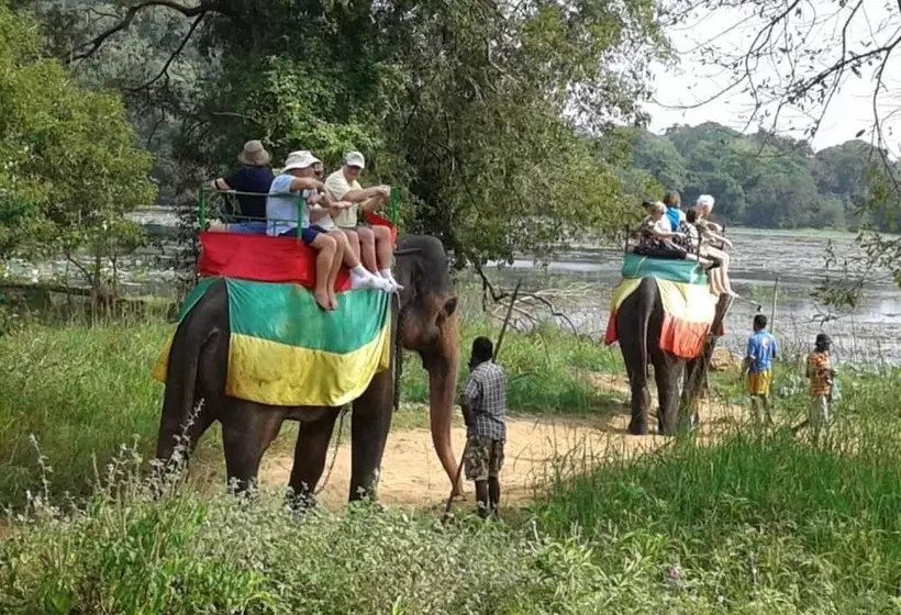 پانسیون Green Bamboo House