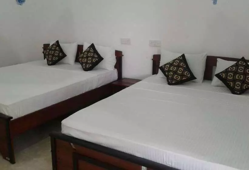 پانسیون Green Bamboo House