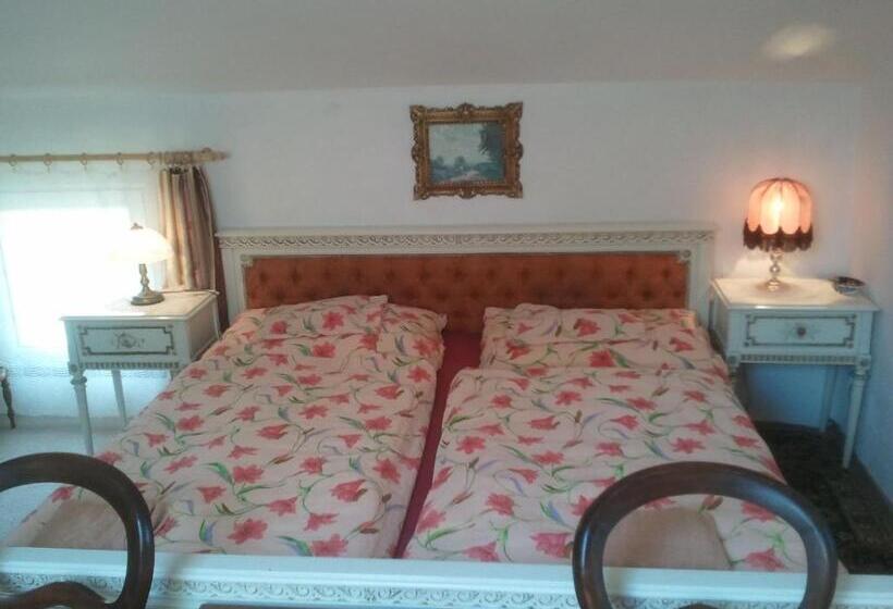 פנסיון Penzion Hugo