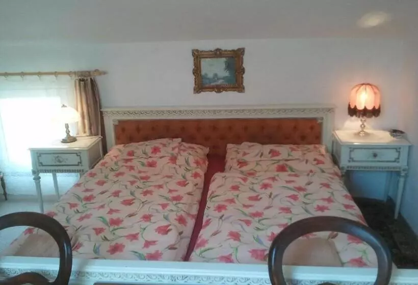 Majatalo Penzion Hugo