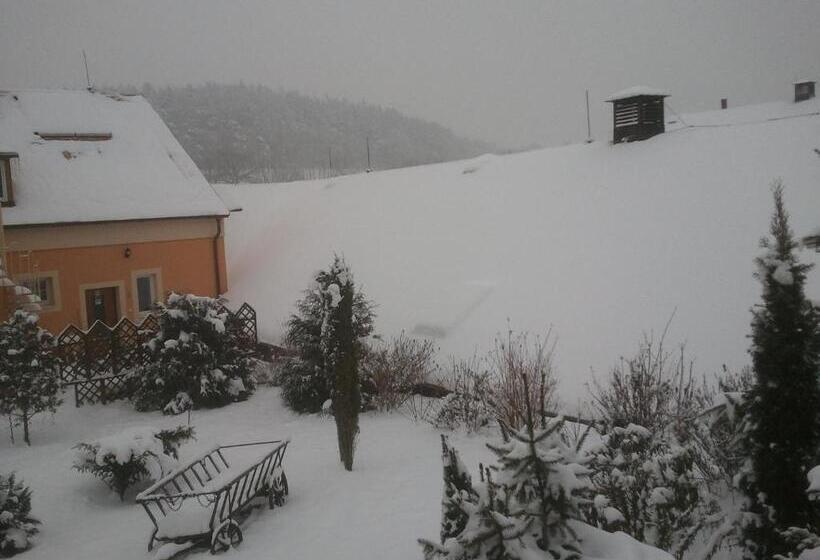 פנסיון Penzion Hugo