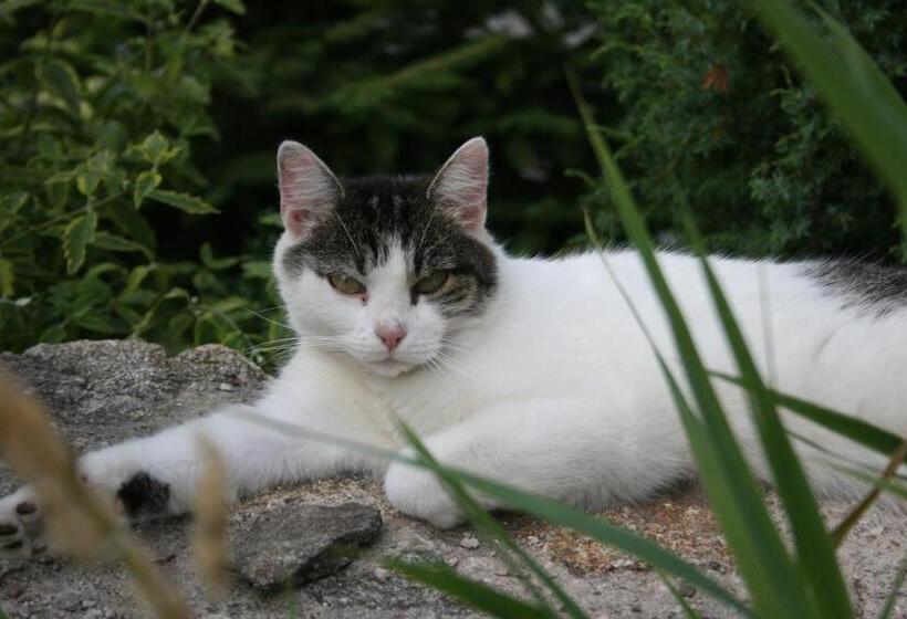 פנסיון Penzion Hugo