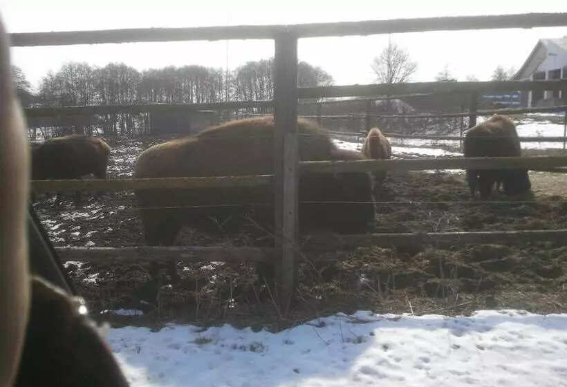 Majatalo Penzion Hugo