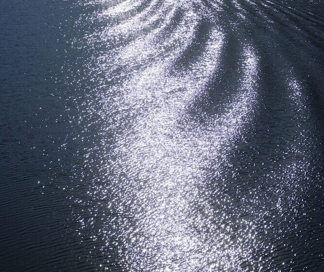 פנסיון Quinta Da Gricha