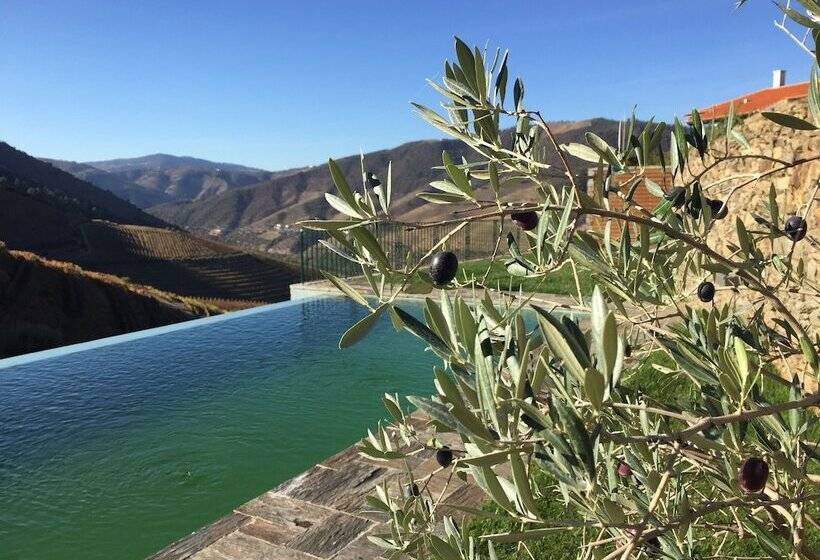 פנסיון Quinta Da Gricha