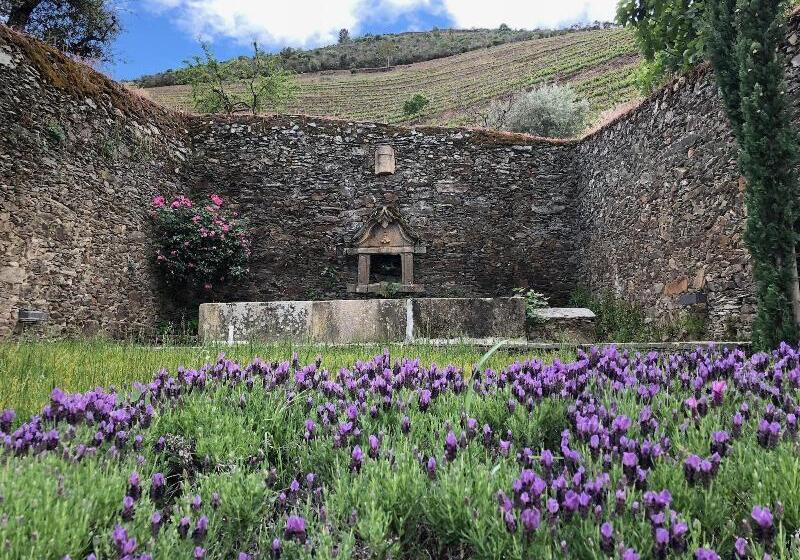 פנסיון Quinta Da Gricha