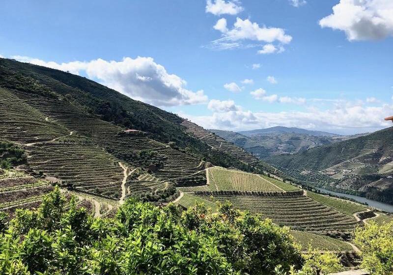 פנסיון Quinta Da Gricha