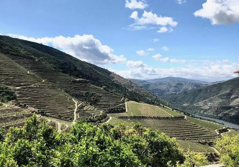 ペンション Quinta Da Gricha