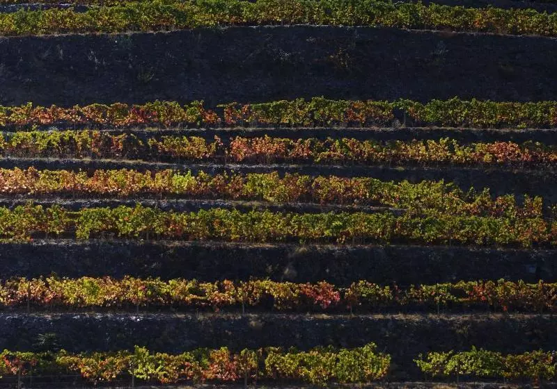 ペンション Quinta Da Gricha