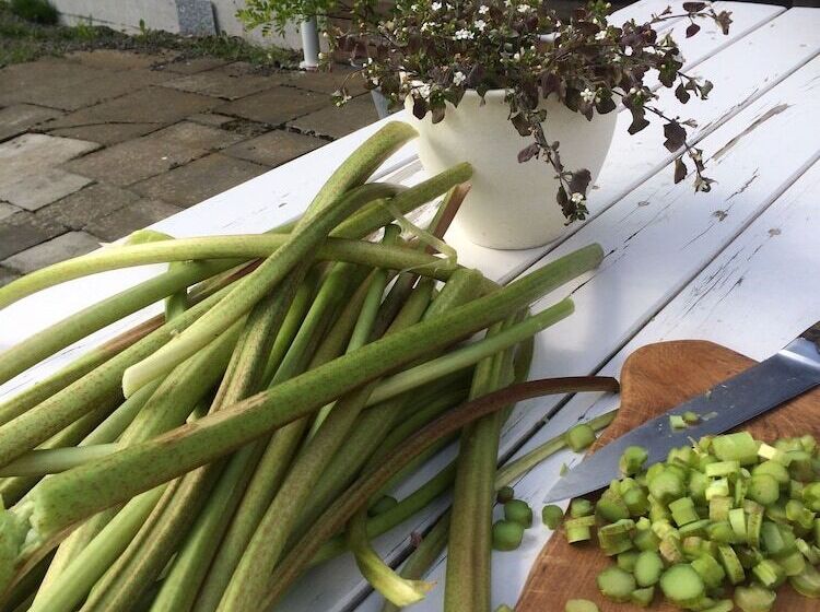 پانسیون ásar Guesthouse