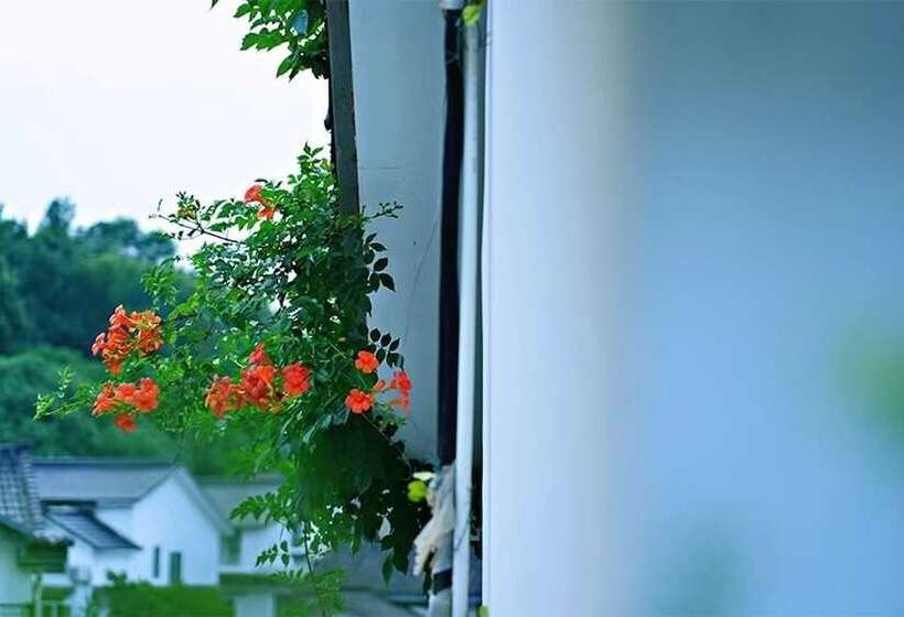 Pension Xihu Memories Tree