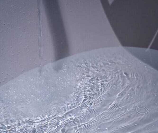 Pension Xihu Memories Tree