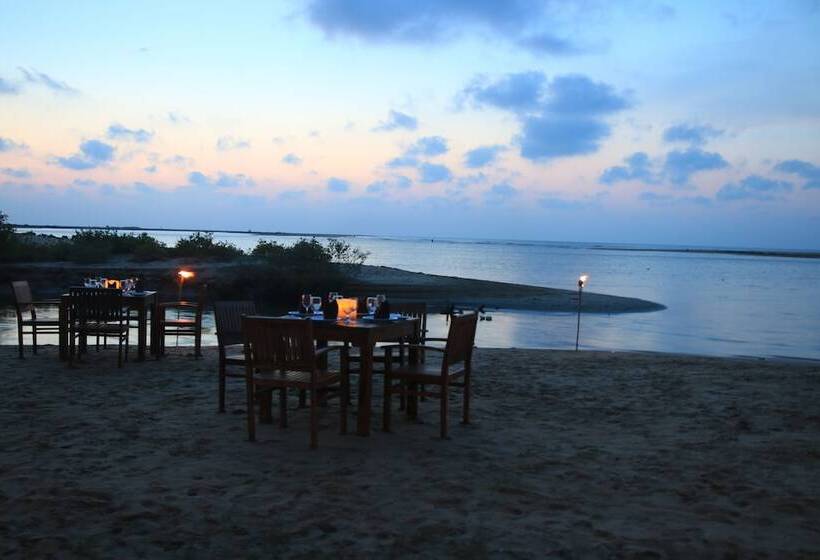 Blue Whale Beach Boutique Resort