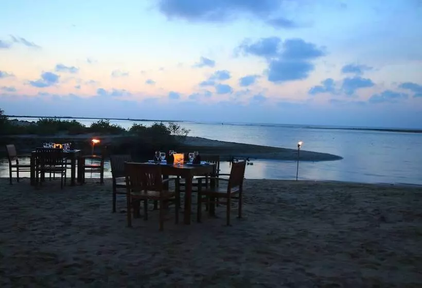 Blue Whale Beach Boutique Resort