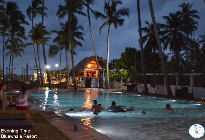 Blue Whale Beach Boutique Resort