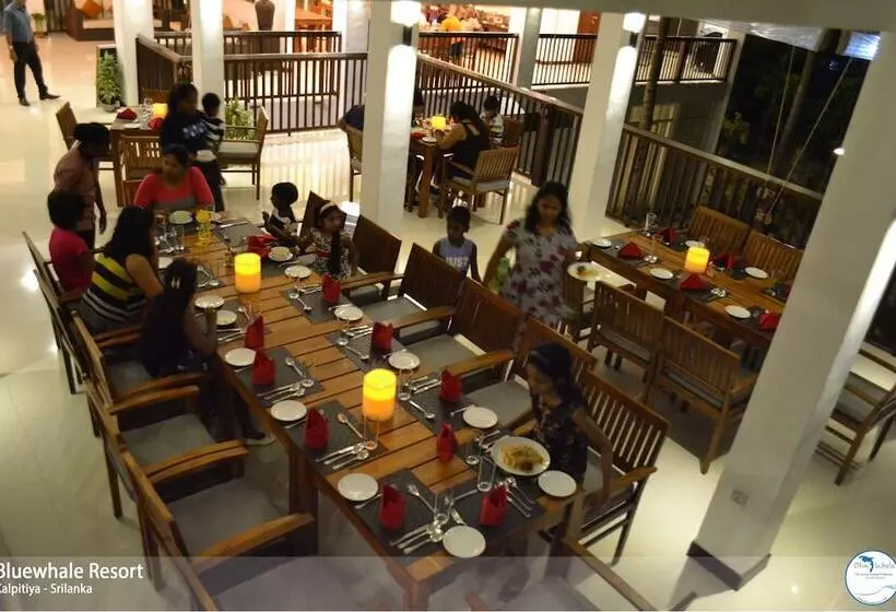 Blue Whale Beach Boutique Resort