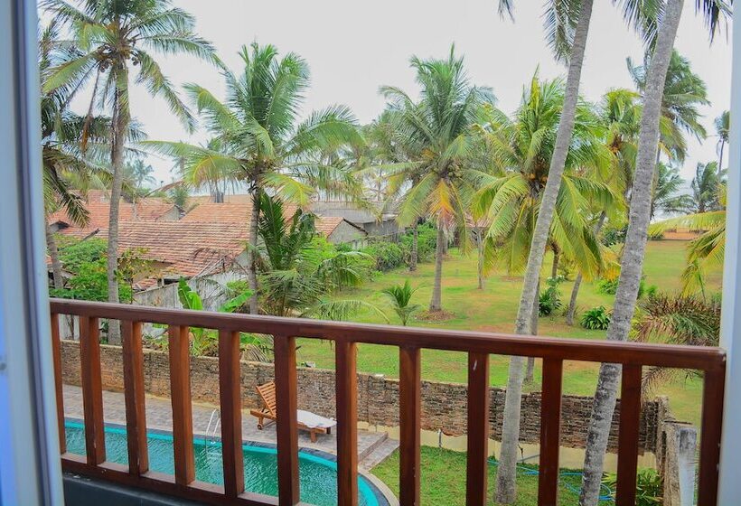 בית מלון כפרי Star White Negombo