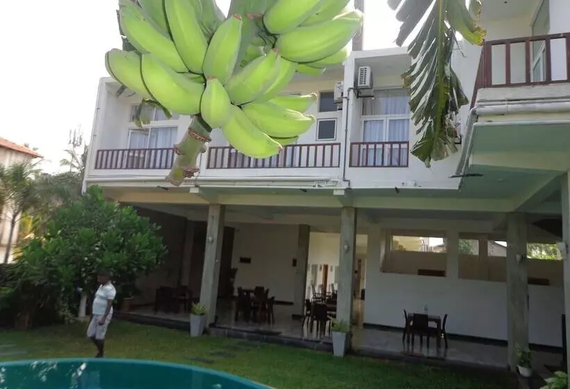 Hotel Star White Negombo