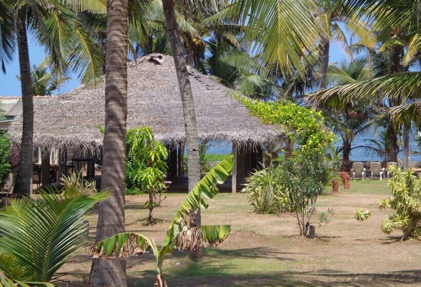 בית מלון כפרי Star White Negombo