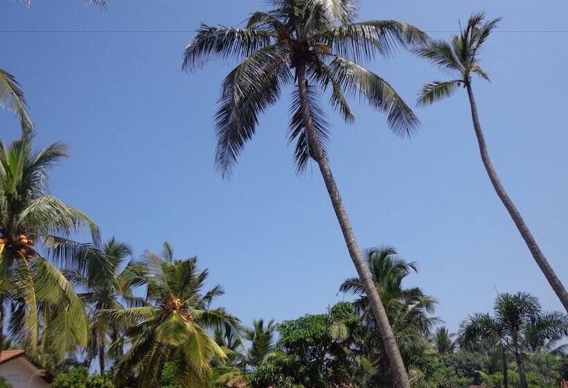 בית מלון כפרי Star White Negombo