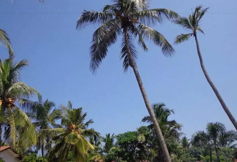 Hotel Star White Negombo