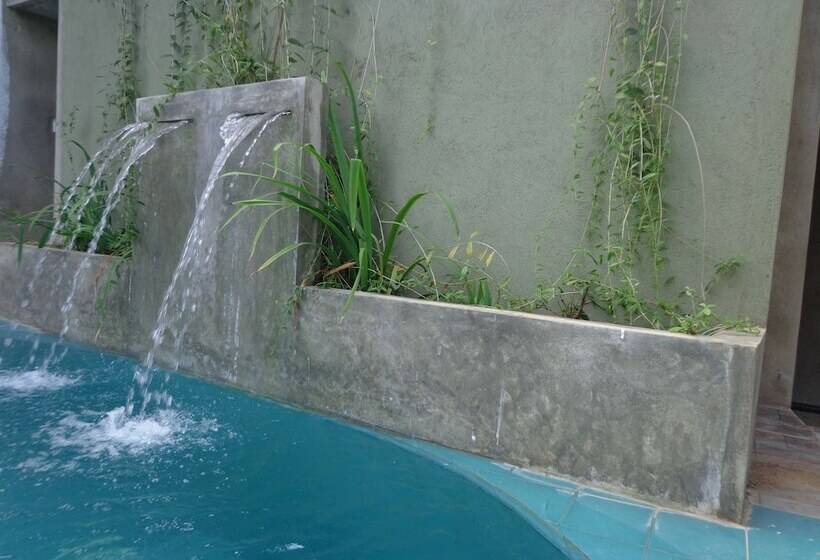 בית מלון כפרי Star White Negombo