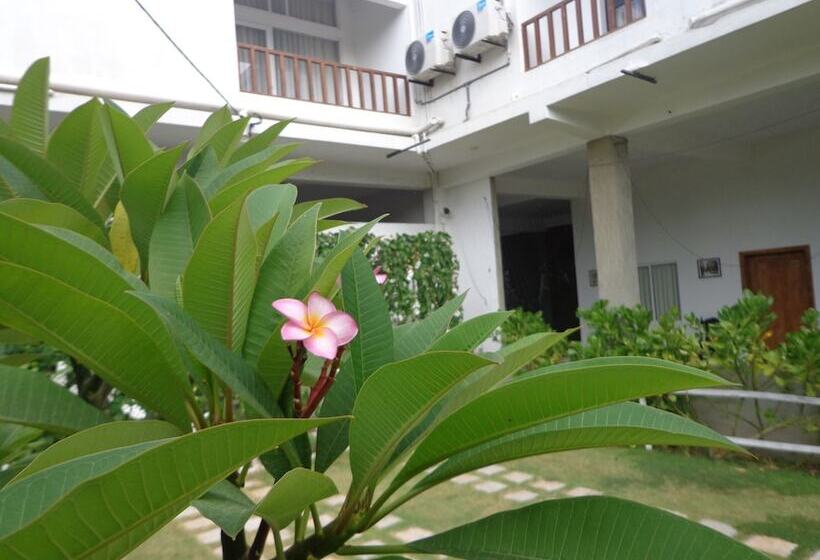 בית מלון כפרי Star White Negombo