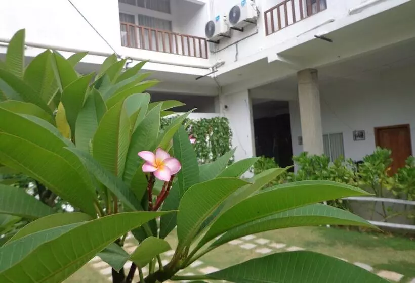 Hotel Star White Negombo