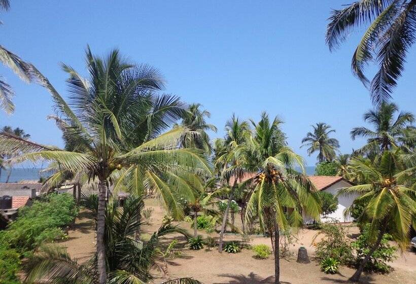 בית מלון כפרי Star White Negombo