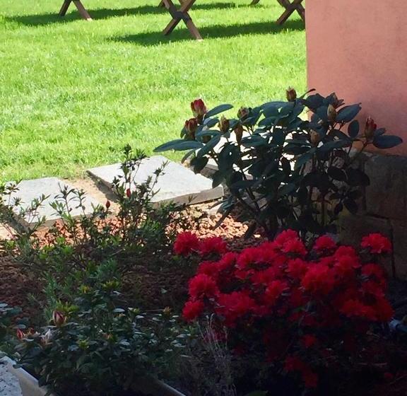 住宿加早餐  Casa Rosa