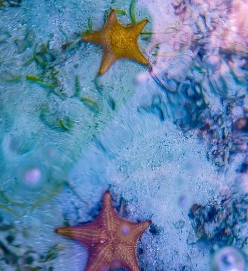 هتل Bocas Del Toro