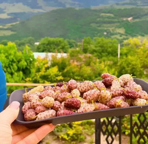 پانسیون Anush`s B&b