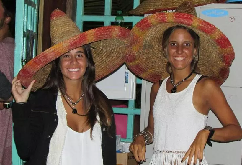 Coconut Hostel Bocas Town