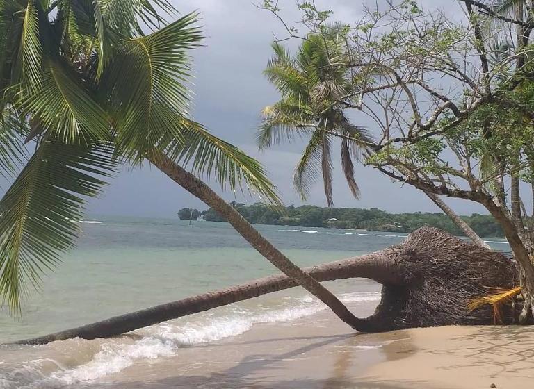 Coconut Hostel Bocas Town